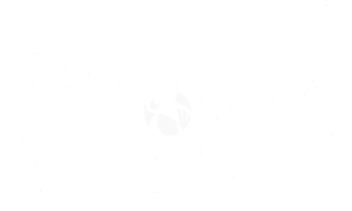 orange-toucan logo