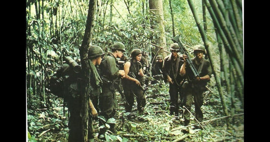 Personal Account: From Vietnam to Hope — A Veteran’s Journey Through Agent Orange and the Discovery of Moringa by Consuming Orange Toucan Beverage